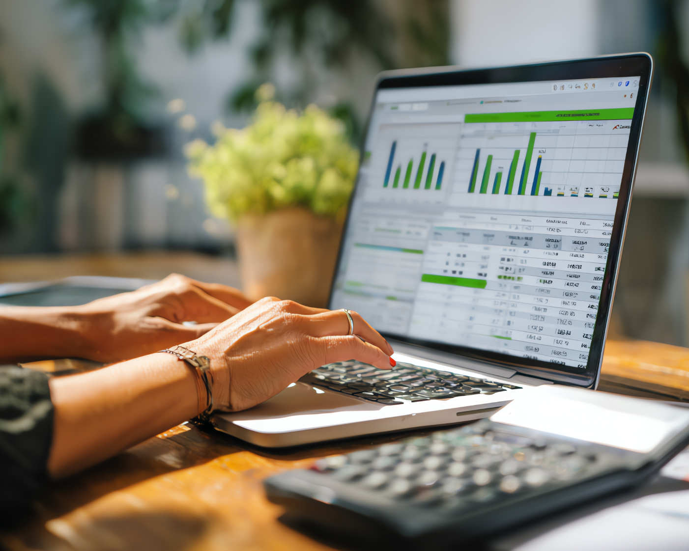 Professional bookkeeping services for small businesses